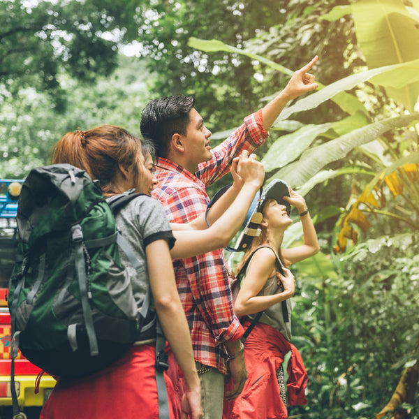 Tren Sustainable Travel; Manfaat & Tipsnya!