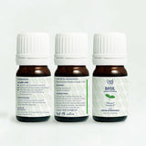 peek me naturals, essential oil, essential oil lokal, reseller young living, young living basil, basil eo